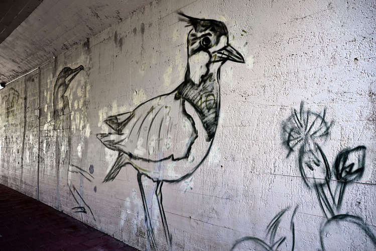 Graffiti-Art in viaduct/tunneltje onder de A12_02